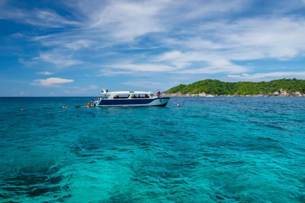 Dolphin Watching, Snorkeling, Fishing and Sandbank Visit