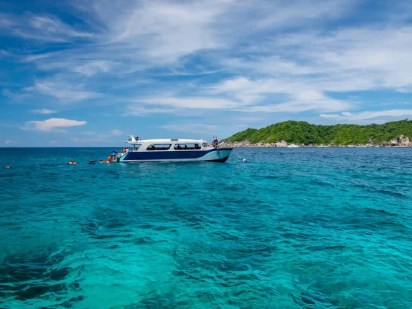 Dolphin Watching, Snorkeling, Fishing and Sandbank Visit